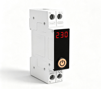 Disjoncteur intelligent en plastique pour rail DIN, interrupteur intelligent WiFi Tuya