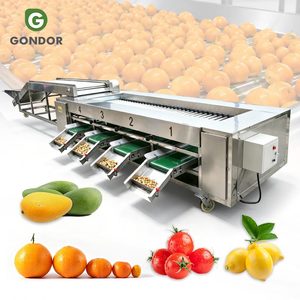 Máquina clasificadora y calibradora de rodillos para lavado y encerado de piña, hongos, manzana y naranja en línea de producción - Product Image 1