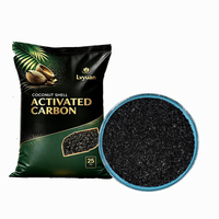 Charbon actif de coque de noix de coco à haute valeur d'iode (700-1600 mesh), pureté 99,99 %, pour la récupération de l'or