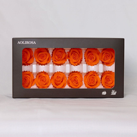 Lot de 12 roses éternelles préservées de 3-4 cm dans une boîte, pour un cadeau romantique pour la Saint-Valentin, un bouquet de mariage, une décoration d'intérieur