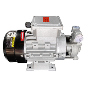 Bomba de Alta Presión para Agua Caliente y Aceite Caliente, Bomba de Combustible Eléctrica de Metanol de Alta Calidad OEM al por Mayor de Fábrica - Product Image 2