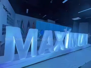 Desain baru raksasa dipimpin-Lit iklan tiup huruf untuk dekorasi acara - Product Image 2