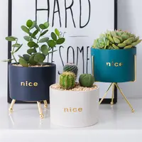 Mini Round Ceramic Flower Pots with Metal Stand