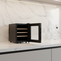Réfrigérateur électrique pour vin, boissons et bière, refroidissement rapide, refroidisseur de bouteilles de vin, refroidisseur de boissons, cave à vin