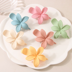 Pinza de Pelo Estilo Coreano con Diseño Floral Dulce y Elegante para Mujer, Accesorio de Pelo de Plástico Esmerilado para Fiestas y Bodas - Product Image 2