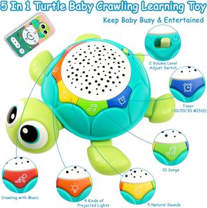 Ept 5 trong 1 âm nhạc chiếu rùa bò Đồ chơi giáo dục âm nhạc rùa bò bé Đồ chơi - Product Image 2