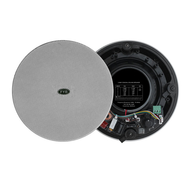 Frameless Coaxial Ceiling Speaker Precise Sound Positioning 100V 8Ω Dual Use Commercial Background Speaker