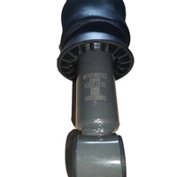 Amortisseur à ressort pneumatique intégré OEM WG1671430192, suspension avant de cabine haute performance pour camions SINOTRUK série HOHAN