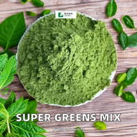 Poudre de Super Greens de qualité alimentaire, extrait d'herbes sauvages, compléments nutritionnels, mélange de fruits et légumes