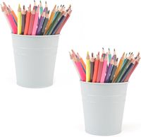 Pot de rangement multifonctionnel rose en métal pour stylos et pinceaux de maquillage, organisateur de bureau, pot de fleurs pour la maison et le bureau (vente en gros)