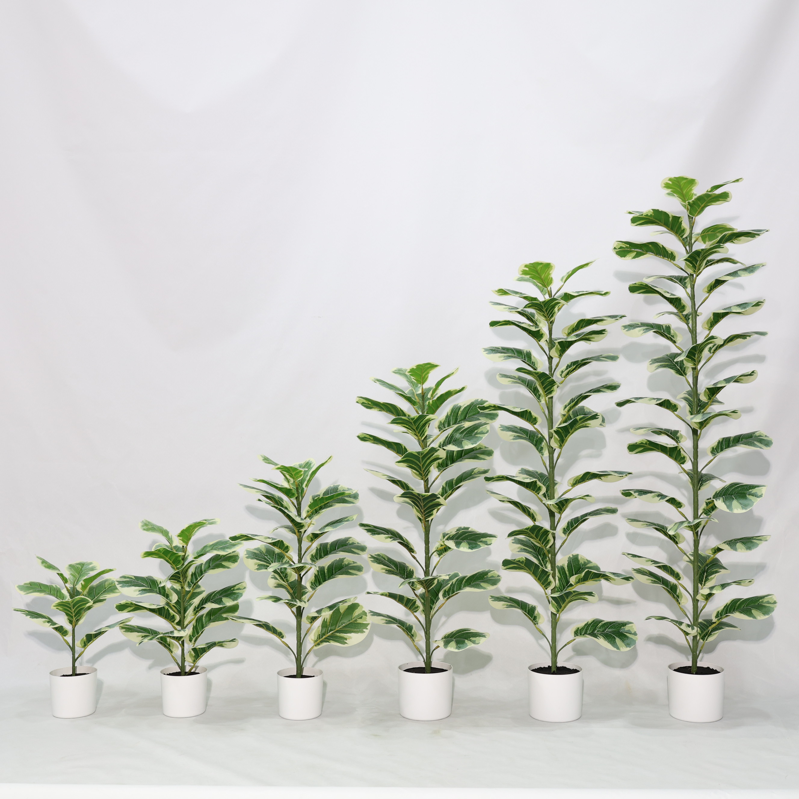 Faux Single Stem Fiddle Leaf Fig Plant with White Edges Silk Leaves Potted  Ficus Tree Indoor Use| Alibaba.com