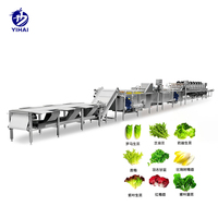 YIHAI Industriële Elektrische Blancheringslijn voor Aardappelen/Fruit/Groenten 1000kg/uur Voedselverwerkingsapparatuur CE
