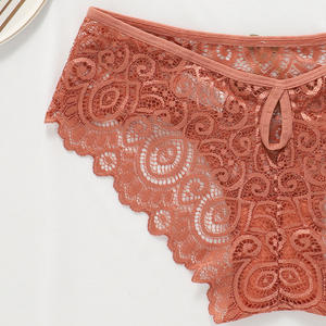 Của Phụ Nữ Trong Suốt Ren TRIM Panties với nịt tất vành đai bán buôn sexy đồ lót - Product Image 6