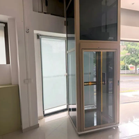 Fabrika Çıkışlı Alüminyum Profil Çift Vidalı Sistem 3 Katlı 400kg Kapasiteli Ev Asansörü Lüks Konutlar İçin Villa Asansörü