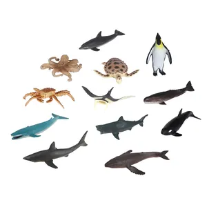 Classe di scienze naturale strumento di mare animale giocattoli educativi