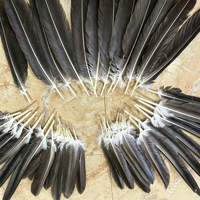 Plume d'aigle, grande plume noire, ensemble complet de plumes pour flèches