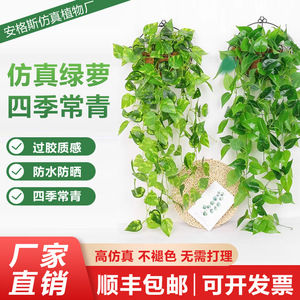 Décoration murale Angesi en lianes artificielles, verdure en soie pour la décoration intérieure, 10 cm et moins - Product Image 5