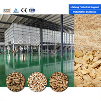 Usine de production de granulés de bois 10-14 T/H : transformation efficace de la sciure, des déchets de menuiserie et des déchets de bois