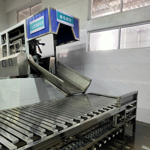 Système complet d'étourdissement et de purge de porcs pour abattoir : Étourdisseuse électrique automatique à trois points haute efficacité - Product Image 4