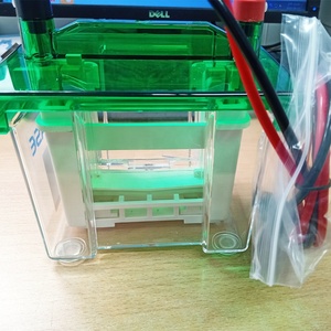BIOBASE, Aparato de Electroforesis en Gel Vertical para Detección de ADN de Alta Pureza para Laboratorio, Precio - Product Image 3