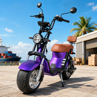 Brezilya Kapıdan Kapıya Citycoco Elektrikli Scooter 1000W 60V20A Depo Stoğu Yetişkin Şişman Lastikli E-Scooter