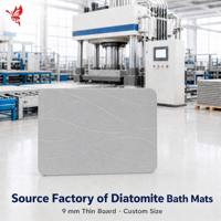 Tapis de bain en pierre super absorbants écologiques, en terre de diatomées, antidérapants et antibactériens