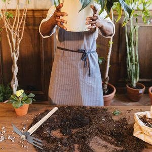 Herramienta de jardinería de doble cabezal: azada pequeña y rastrillo de mano con mango de madera para desmalezar, excavar y aflojar la tierra, venta al por mayor OEM - Product Image 5