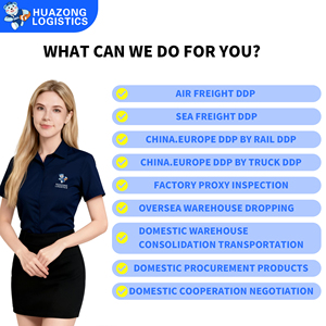 DDP Air <strong>Sea</strong> Freight Forwarder China <strong>to</strong> Netherlands Belgium Ireland <strong>Austria</strong> Czech Republic Romania Shipping Agent Logistics - Product Image 2