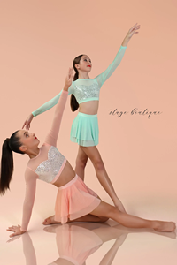 Boutique de scène de haute qualité Ballet lyrique <span class=keywords><strong>danse</strong></span> <span class=keywords><strong>justaucorps</strong></span> Performance porter scène vêtements de <span class=keywords><strong>danse</strong></span> - Product Image 2