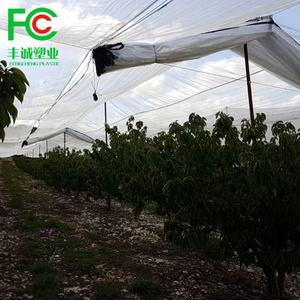 Couverture de tente pour arbres fruitiers bâche résistante aux intempéries bâche <span class=keywords><strong>agricole</strong></span> bâche chili housse de cerise 135gsm housse de cerise de verger - Product Image 4