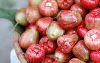 Hot Koop Hoge Kwaliteit Rose Apple Voor Sales Exporteur 2020