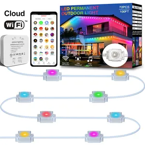 Gouly Led Permanent Outdoor Lights Installation Ip68 Waterproof Dc36v 100ft Set Install Holiday Christmas Decoration Lights