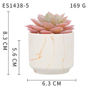 Nouvelle Décoration de Bureau en Plastique Réaliste : Jolies Jardinières Roses Artificielles pour Plantes Succulentes - Product Image 6