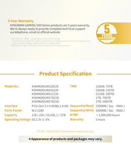 SSD Interno M2 de 256 GB PCIe Gen3X4 2280 con Disipador de Calor Delgado, 3300 MB/s de Lectura/3000 MB/s de Escritura, Garantía de 5 Años, SSD de 256 GB, SSD PCIe de 256 GB - Product Image 6