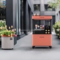 Chariot de vente ambulant multifonctionnel Skyacross pour extérieur, idéal pour les snacks, le café et l'utilisation commerciale