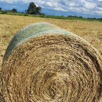 Film de protection anti-UV pour balles d'avoine et d'alfalfa, 100% polypropylène haute ténacité, motif brut T&H TH1.25m*3000m, écologique