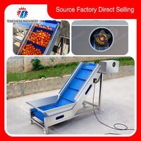 Roestvrijstalen Automatische Groente Fruit Lift Aangepaste Voedselverwerkende Machine Ts T30