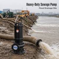 Pompe submersible 25 CV pour eaux usées, 8 pouces, 180 m³/h, à faible hauteur de refoulement et haut débit, en fonte