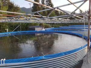 <span class=keywords><strong>Bassin</strong></span> <span class=keywords><strong>de</strong></span> culture <span class=keywords><strong>de</strong></span> poissons galvanisé ECO-ORIGIN, résistant aux intempéries, haute productivité, garantie 3 mois - Product Image 4