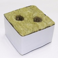 GN Agriculture pour hydroponique Petits cubes pour légumes et semis