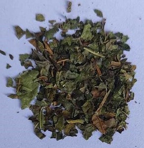 Las hojas de morera secas más vendidas (Morus Alba) Cortadas en bolsitas de té (TBC)/Cortadas en té () para infusiones de hierbas a granel - Product Image 3