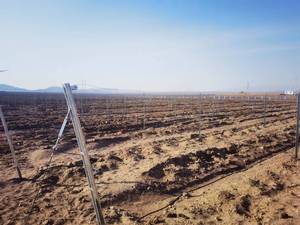 Vineyard kim loại bài cho nho trellis hệ thống, bền thép mạ kẽm cuối bài cho sử dụng lâu dài - Product Image 6