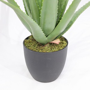 Plante succulente artificielle en plastique haute simulation à prix abordable, fabriquée en Chine, petite plante d'aloe vera pour décoration de bureau de Pâques - Product Image 4