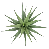 Plantes artificielles Oh Arts Ebay, 73 cm de hauteur, plante artificielle printemps/pâques, agave artificielle, présentée en Chine