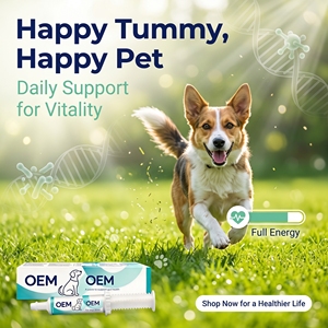 Suplemento de Gel Probiótico <span class=keywords><strong>para</strong></span> <span class=keywords><strong>Perros</strong></span> y Gatos Formulado con Materias Primas Probióticas OEM - Product Image 5