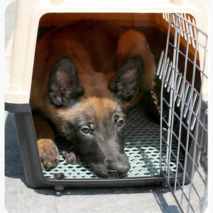 Cage de transport pour animaux de compagnie approuvée par les compagnies aériennes, cage de voyage pour chats, cage de voyage en voiture, visite chez le vétérinaire, cage de transport pour chiens, cage extérieure, cage de transport pour chiens - Product Image 4