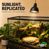 LuckyHerp JX-SL80R95C0 80W R95 Lampe à vapeur de mercure auto-alimentée avec revêtement UVB/UVA, ampoule en verre écologique pour reptiles