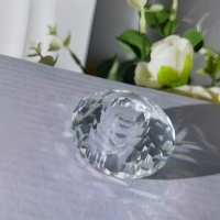 Pendentifs de lustre en verre cristal Sinyore en forme de chauve-souris à motif animal / Pièces de lustre en cristal transparent / Accessoire de lampe en cristal
