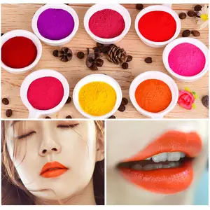 1-65色Diy原料颜料精细纹理彩色唇彩口红颜料粉用于唇彩