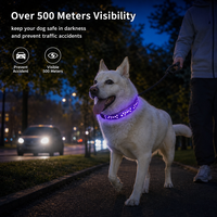 Collier pour chien en silicone moulé 3D rechargeable avec LED et fibre optique, 14 modes d'éclairage, fonction mémoire, étanche, type C, taille XS-L